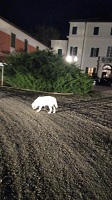 Clicca sulla foto per vedere ingrandimento